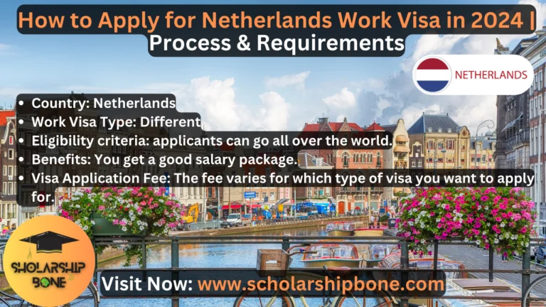 How to Apply for Netherlands Work Visa in 2024 | Process & Requirements