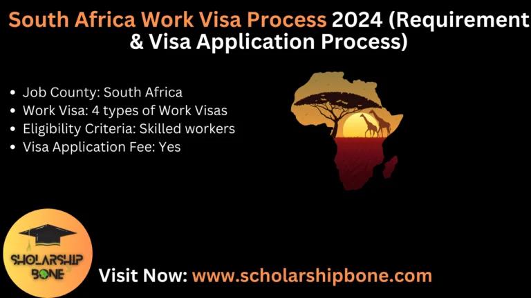 South Africa Work Visa Process 2024 (Requirement & Visa Application Process)